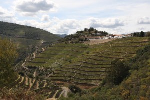 Crasto Vinha_Maria_Teresa