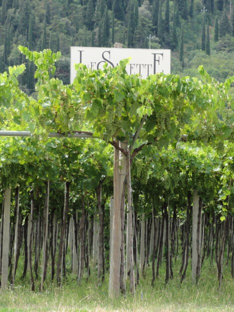 Noord-Italiƫ 2011 038