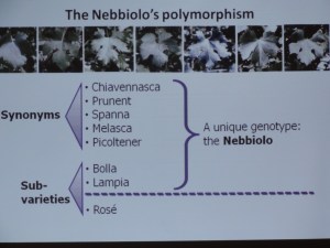 Piemonte 2012 mei 031