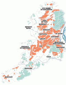 Sancerre wijngaarden